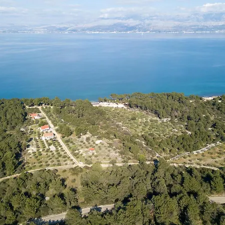 Maginja Sutivan