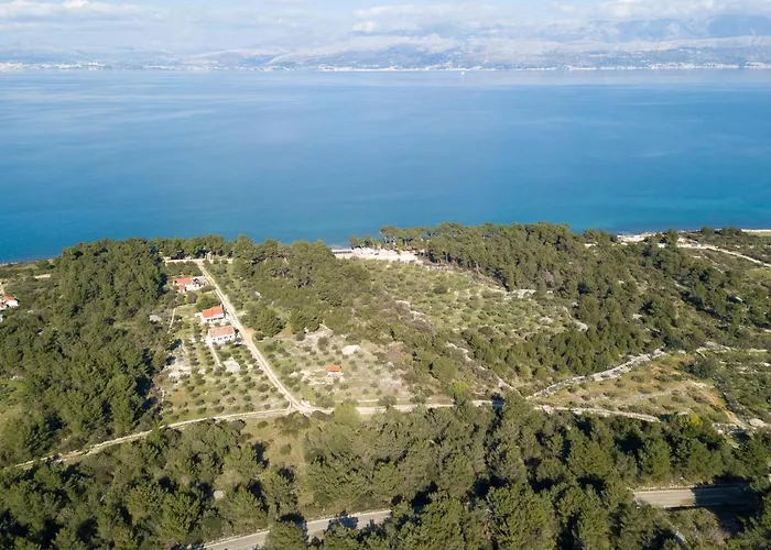 Maginja Sutivan